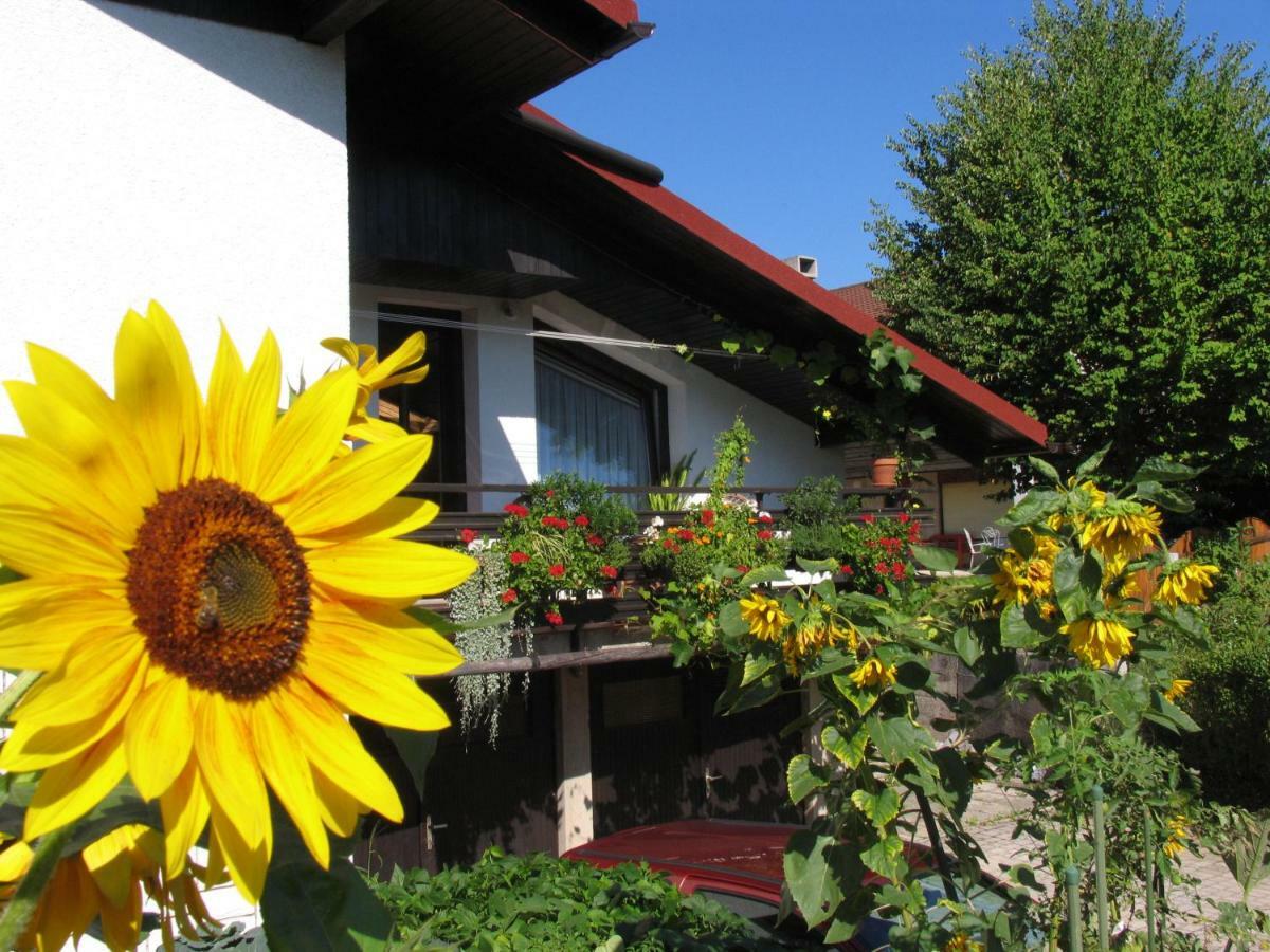 Apartment Mala Bled Luaran gambar